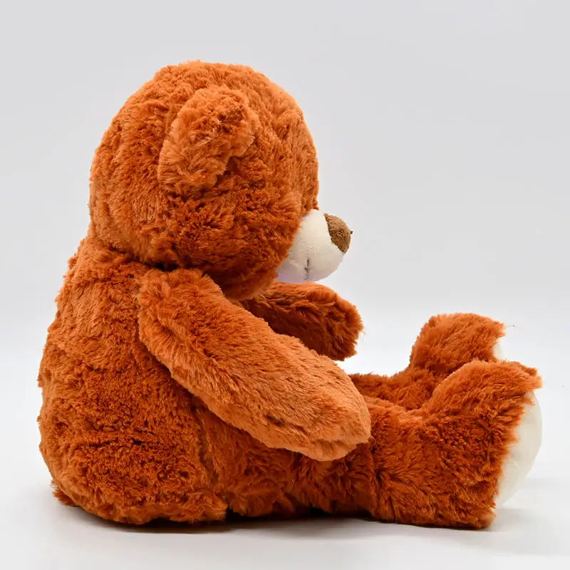 Meda sa projektorom i muzikom - Top Igracke